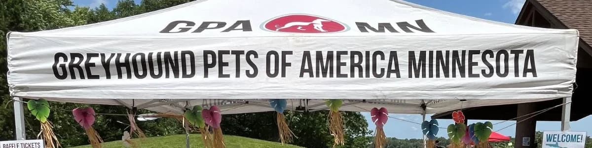 GreyFest